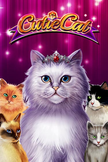 Демо игра Cutie Cat играть онлайн | Casino X бесплатно
